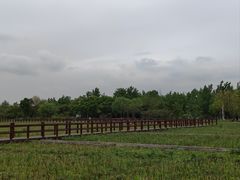 -白鹭湾湿地公园