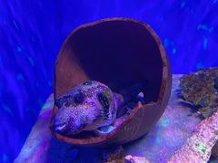 -重庆欢乐海底世界