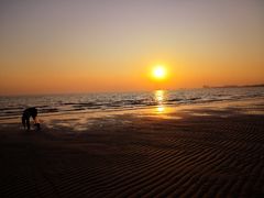 -老虎石海上公园