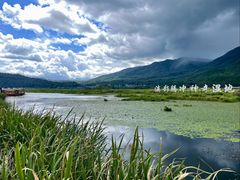 -腾冲北海湿地