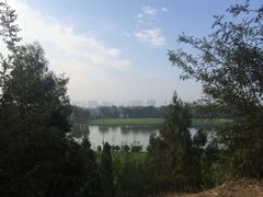 -森林公园(尖草坪区)