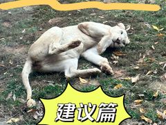 -杭州野生动物世界