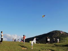 -大姆山草场