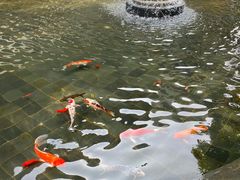 -春满园·早茶·粤菜·宴会(前海店)