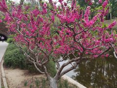 -元大都城垣遗址公园