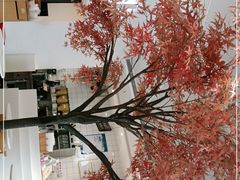 -艾薯夫妇Aysh(福田星河COCOPark店)