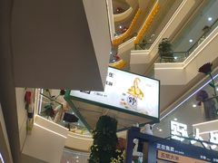 -野人先生Gelato(上海长宁龙之梦店)