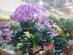 -双季花艺园艺市场(浦东店)