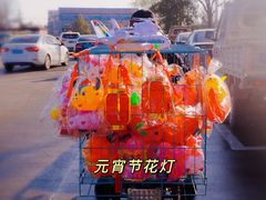 -宿州花鸟鱼虫古玩宠物大市场