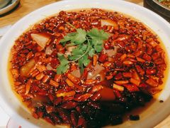 豆芽-鸡毛店·川菜(双楠店)