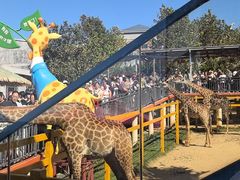 -西霞口神雕山野生动物世界