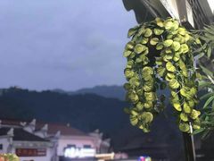 -九华山友谊土菜馆 小资餐厅