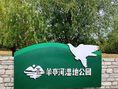 -羊亭河湿地公园