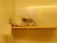 -龙猫仔乐园(惠福东路店)