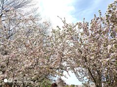 -元大都城垣遗址公园