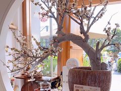 -不凡脑禅境·养生·舒压调理SPA(华发世纪城店)
