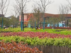 -季高兔窝窝亲子园(上海薰衣草公园店)