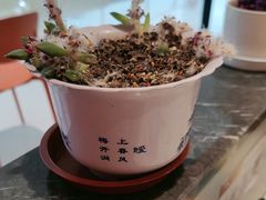 -全牛匠·乐山跷脚牛肉(西北旺万象汇店)