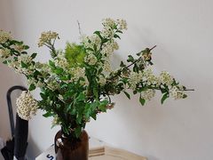-三花屋 Mihhanaya