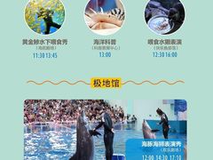 -西安曲江海洋极地公园