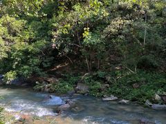 -广州白江湖森林公园