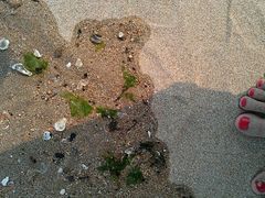 -老虎石海上公园