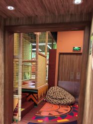 -卡通尼·Safari非洲探索乐园·生日会(金桥国际商业广场店)