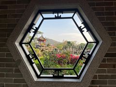 -顺峰山公园