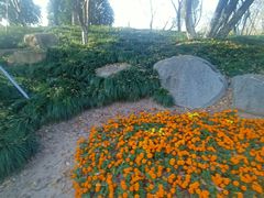 -径山花海