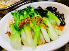 白灼菌菇菜心-新白鹿餐厅(爱琴海购物中心店)