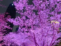 -西北湖绿化广场