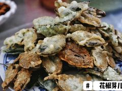 花椒芽-三岔涧农家乐