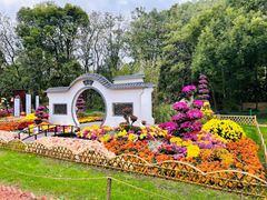 -上海共青森林公园