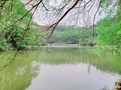 -深圳仙湖植物园
