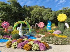 -上海共青森林公园