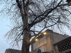 -裕德孚·非遗手切涮羊肉(东直门内大街店)