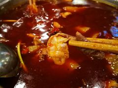 -冯记香辣兔火锅(茶店子总店)