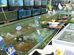 -南海食街(佛冈店)