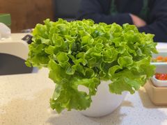 -韩香福烤肉庄园(华夏路店)
