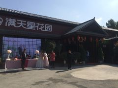 -满天星花园
