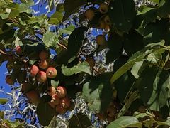 -千姿湖生态旅游景区