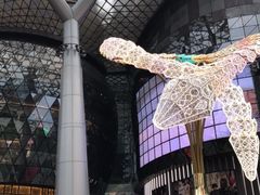 -爱雍·乌节