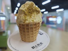 -野人先生现做冰淇淋(北京悠唐购物中心店)