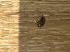 -昆明春城湖畔度假村