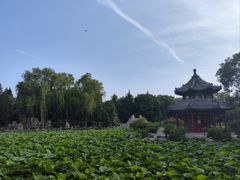 -莲池书院博物馆