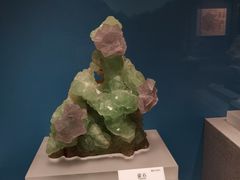 -贵州省地质博物馆