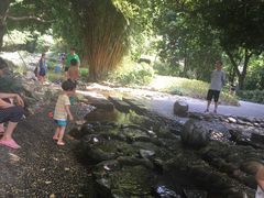 -成都市活水公园