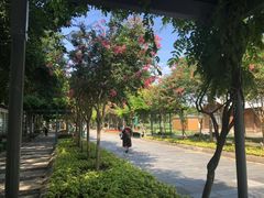 景点-解放公园