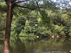 -九如山休闲旅游度假区