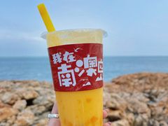 -南澳岛打卡果汁冰公司